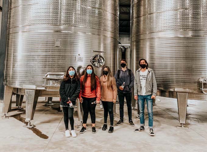 <p>Programas<br />
<strong>de VcM</strong></p>
