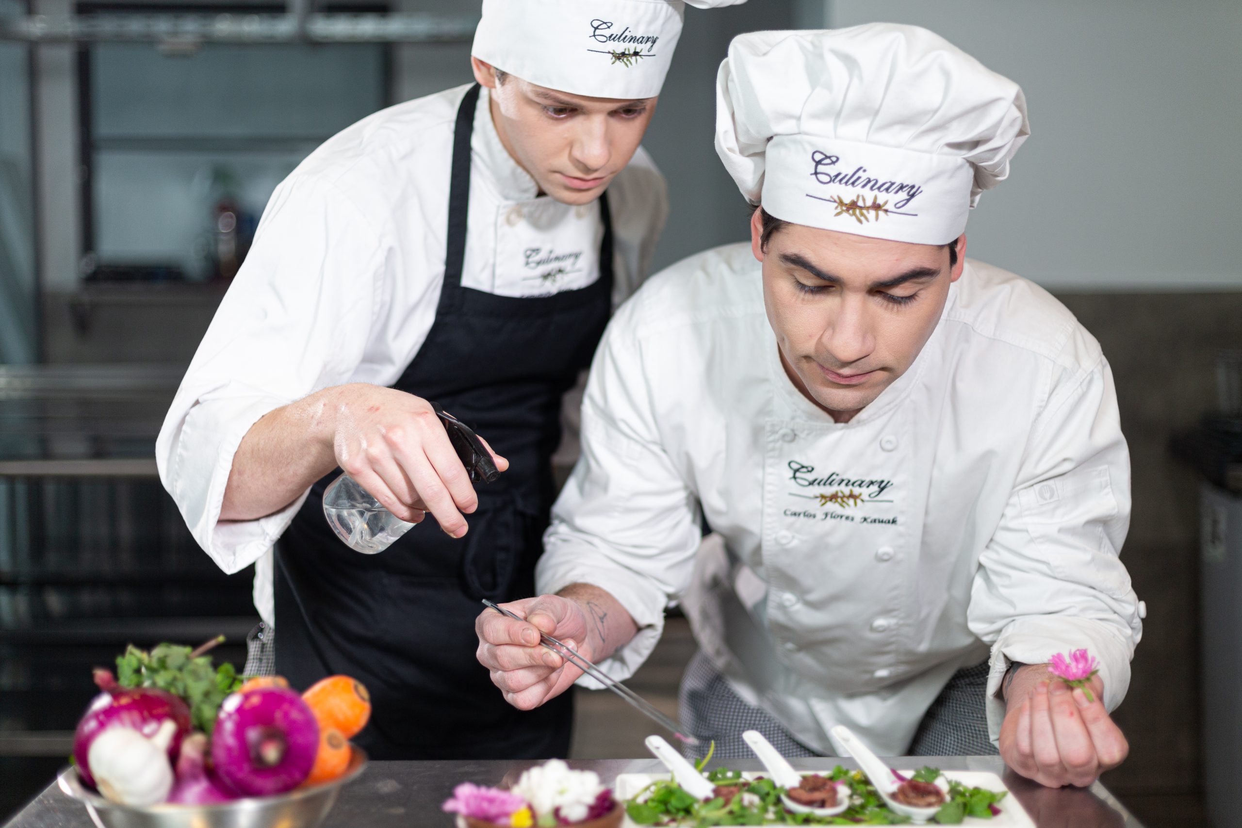 Técnico en Artes Culinarias